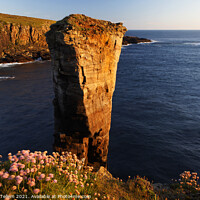Buy canvas prints of Yesnaby Sea Stack, West Mainland, Orkney Islands by Geraint Tellem ARPS