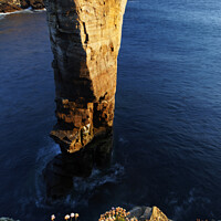Buy canvas prints of Yesnaby Sea Stack, West Mainland, Orkney Islands by Geraint Tellem ARPS