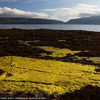 Buy canvas prints of The coast of Hoy from Petertown, near Stromness, Mainland, Orkney, UK by Geraint Tellem ARPS