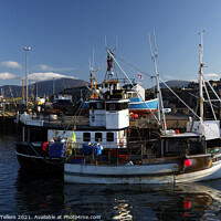 Buy canvas prints of Stromness Harbour, Orkney Islands, UK by Geraint Tellem ARPS