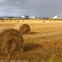 Buy canvas prints of Hay Bales and Douneray Nuclear Power Station, Caithness, Scotland by Geraint Tellem ARPS