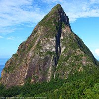 Buy canvas prints of Petit Piton from the Ladera Resort, near Soufriere, St Lucia, Caribbean by Geraint Tellem ARPS