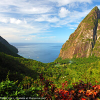 Buy canvas prints of The Pitons from the Ladera Resort near Soufriere, St Lucia, Caribbean by Geraint Tellem ARPS