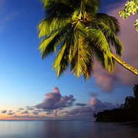 Buy canvas prints of Twilight, Almond Morgan Bay, St Lucia, Caribbean by Geraint Tellem ARPS