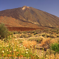 Buy canvas prints of Mt. Teide, Tenerife, Canary Islands by Geraint Tellem ARPS