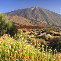 Buy canvas prints of Mt. Teide, Tenerife, Canary Islands by Geraint Tellem ARPS