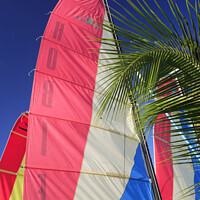Buy canvas prints of Catamaran sails near Port St Charles, west coast, Barbados by Geraint Tellem ARPS