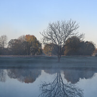 Buy canvas prints of Misty Reflections by Reidy's Photos