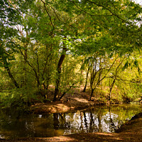 Buy canvas prints of River in Queen's Park Swindon by Reidy's Photos