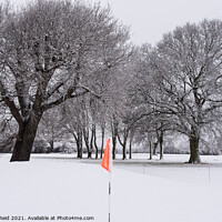 Buy canvas prints of No Golf Today by Reidy's Photos