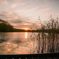 Buy canvas prints of Sunset Reflection Coate Water by Reidy's Photos