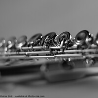 Buy canvas prints of Monotone Flute by Reidy's Photos