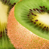 Buy canvas prints of A close up of kiwi fruit by Reidy's Photos