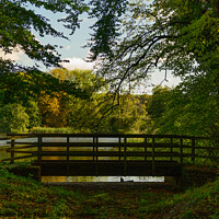 Buy canvas prints of Stanton Country Park Bridge by Reidy's Photos