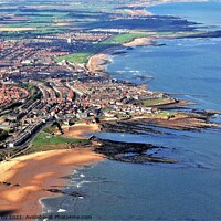 Buy canvas prints of Aerial view of Cullercoats Harbour by mick vardy