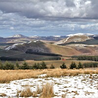Buy canvas prints of Snow on the Cheviot Hills by mick vardy