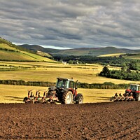 Buy canvas prints of Ploughing in tandem Cheviot Hills. by mick vardy
