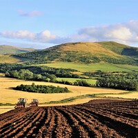 Buy canvas prints of Ploughing in tandem Mindrum Cheviot Hills. by mick vardy
