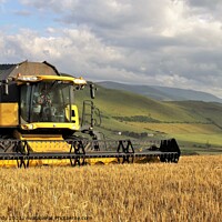 Buy canvas prints of Harvesting barley in the Cheviot Hills. by mick vardy