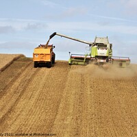 Buy canvas prints of Harvesting wheat in Northumberland. by mick vardy