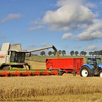 Buy canvas prints of Combine harvesting barley. by mick vardy