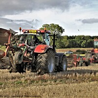 Buy canvas prints of Ploughing in tandem Northumberland.  by mick vardy