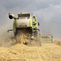 Buy canvas prints of A dusty dry harvest. by mick vardy