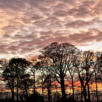 Buy canvas prints of Sunset at Close house. by mick vardy