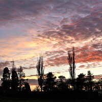 Buy canvas prints of Sunset with mackerel sky. by mick vardy