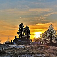 Buy canvas prints of Winter sunset near Wylam by mick vardy