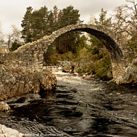 Buy canvas prints of Old Packhorse Bridge in Carrbridge Scotland by ANN RENFREW