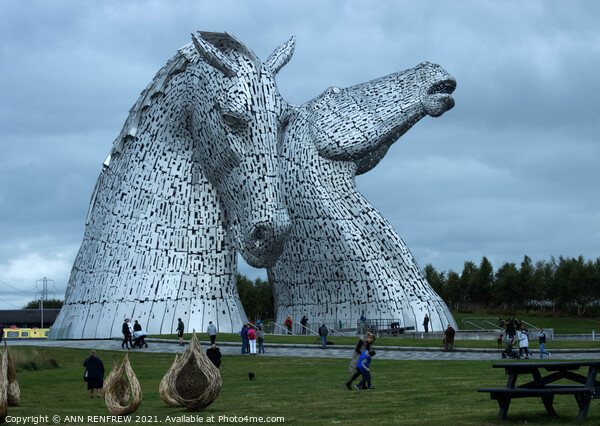 Duke and Baron - The Kelpies Picture Board by ANN RENFREW