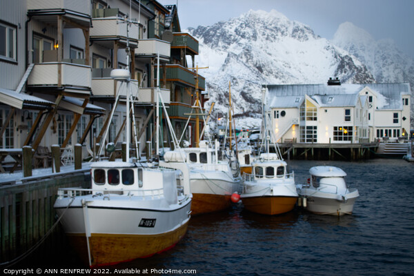Norwegian fishing village in winter. Picture Board by ANN RENFREW