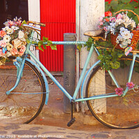 Buy canvas prints of Floral bicycle by ANN RENFREW