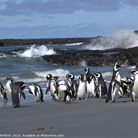 Buy canvas prints of Meeting at the Beach by ANN RENFREW