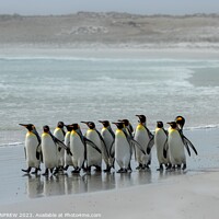 Buy canvas prints of The March of the Penguins by ANN RENFREW