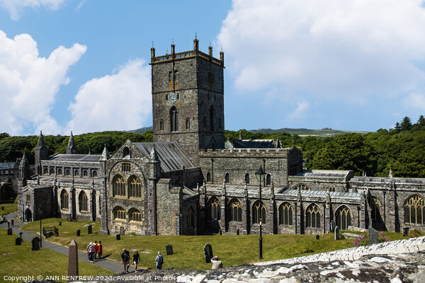 St Davids Cathedral Picture Board by ANN RENFREW