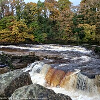 Buy canvas prints of River Swale in Yorkshire by ANN RENFREW