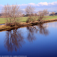 Buy canvas prints of Reflections by ANN RENFREW
