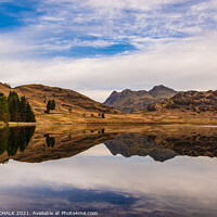 Buy canvas prints of Blea tarn reflection with the langdale mountains 504  by PHILIP CHALK