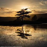 Buy canvas prints of Serenity at Kelly Hall Tarn by PHILIP CHALK