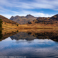 Buy canvas prints of Blea tarn ripples in the lake district Cumbria 509 by PHILIP CHALK