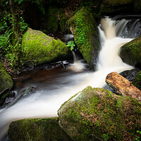 Buy canvas prints of Wyming brook fairy glen 581 by PHILIP CHALK
