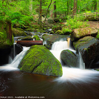Buy canvas prints of  Wyming brook nature trail in the peak district Derbyshire 595 by PHILIP CHALK