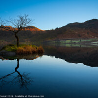 Buy canvas prints of Rydal water lone tree reflection in the lake distr by PHILIP CHALK
