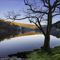 Buy canvas prints of Rydal water reflections in the lake district.  662  by PHILIP CHALK