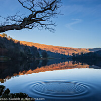 Buy canvas prints of Rydal water ripples 667 by PHILIP CHALK