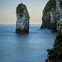 Buy canvas prints of Sea stack at Flamborough head  670 by PHILIP CHALK