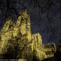 Buy canvas prints of York Minster in the sunset 678 by PHILIP CHALK