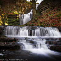 Buy canvas prints of Sunburst at Scalerber force 679 by PHILIP CHALK
